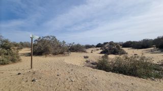 2023-GC--Mapalomas dunas-S123-178.jpg
